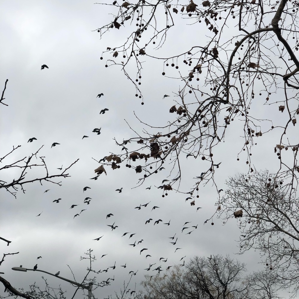 Meet your Posher, Terry